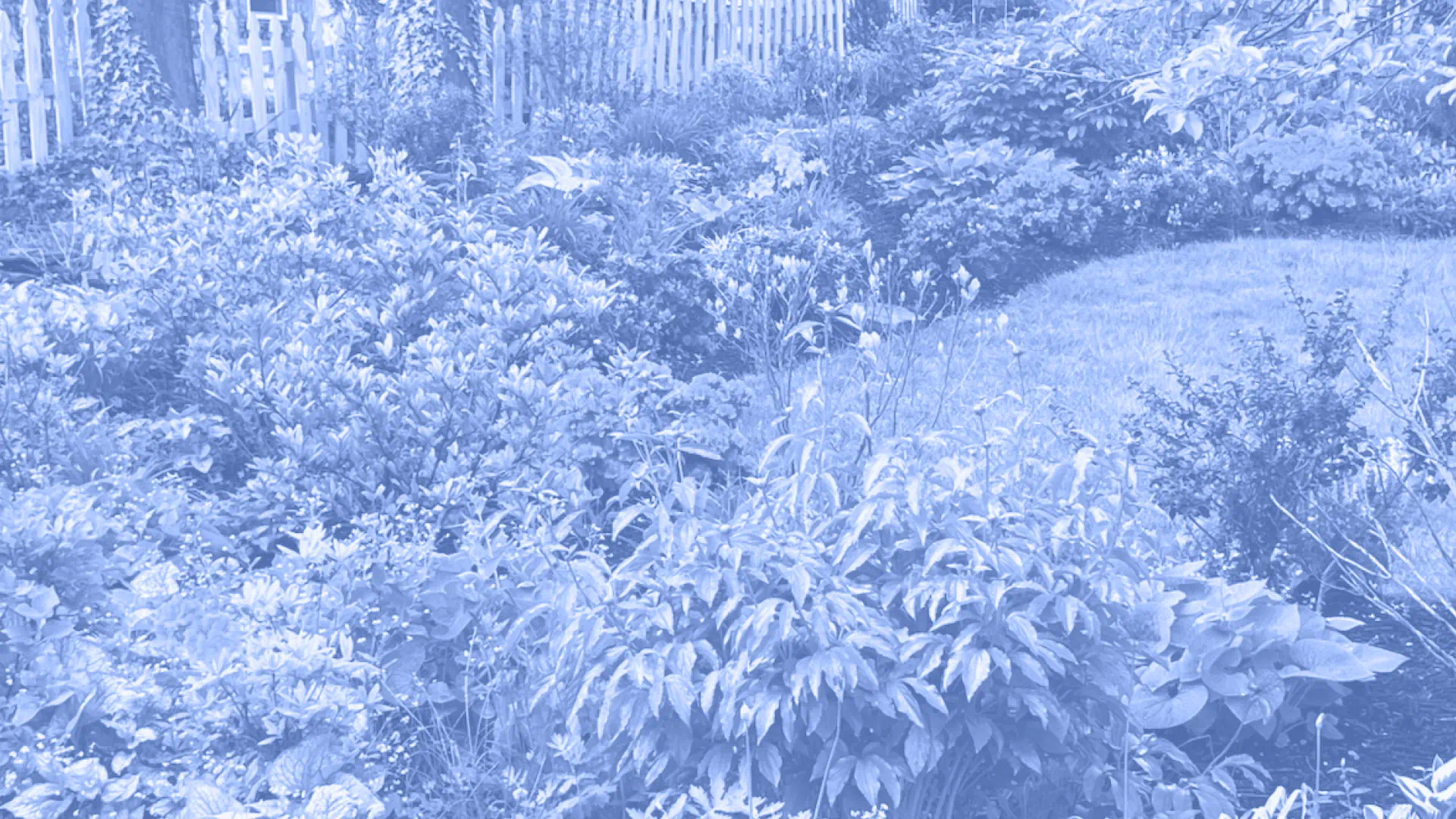 company info background